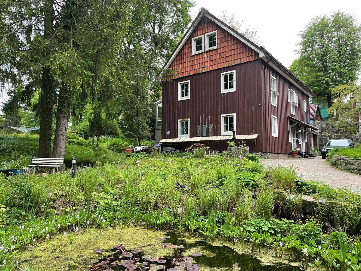 Liebevoll Eingerichtetes Ferienhaus Mit Grossem Garten Clausthal-Zellerfeld Exterior photo